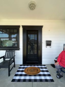 Sleek Black Full View Security Door