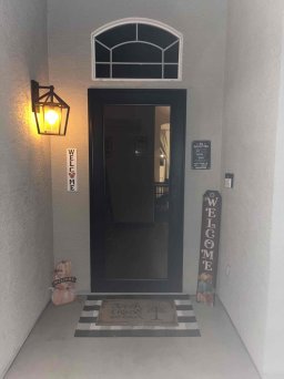 Full Visibility Black Security Door