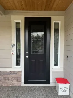 Black Centurion security door with durable mesh, crisp visibility, and bold contrast