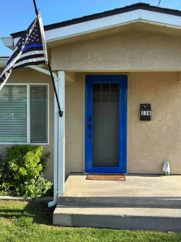 Blue Centurion security door featuring strong mesh and a clean modern appearance