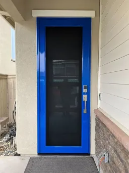 Blue Centurion security screen door with durable stainless mesh and standout color