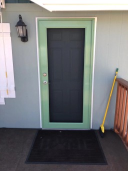 Full View Security Door in Rich Green Finish