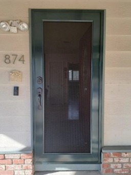 Green Centurion Security Door With Visibility