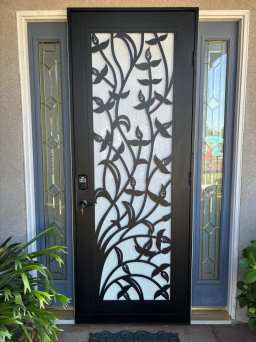 Stylish and secure, this Black Titan security door is part of our recent installation.