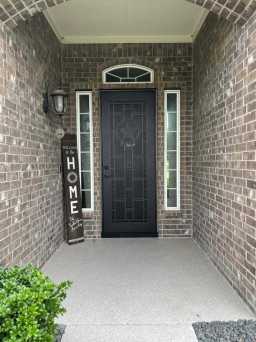 Decorative Titan Security Door in Black