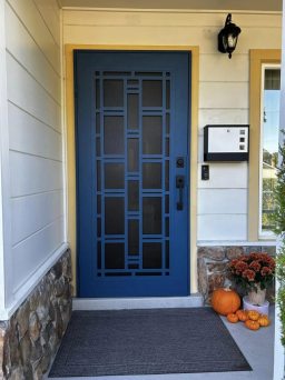 Blue Security Door With Designs Installed