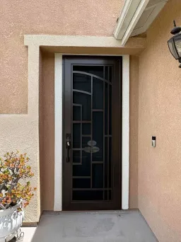 Statuary bronze Artisan security door with hummingbird design and protective mesh