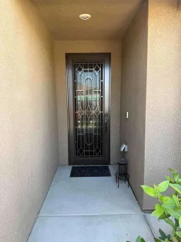Bronze French Artisan security doors with pathway design and stainless steel mesh