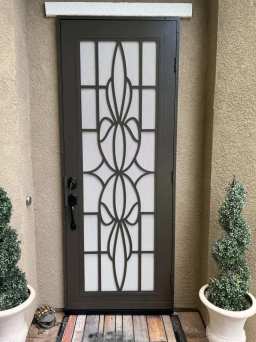 Decorative Titan Door in Bronze