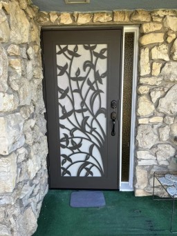Bronze Security Door With Stylish Titan Design