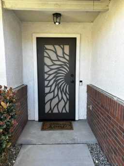 Bronze Titan Security Door With Designs