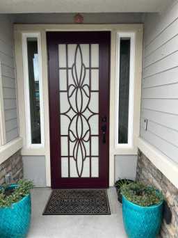 Unique Wineberry Titan Security Screen Door