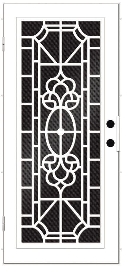 biltmore-titan-security-door-design