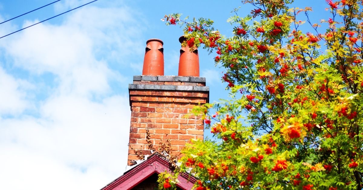 brick-chimney-behind-tree-with-flower-how-chimney-sweep-professionals-keep-your-home-safe